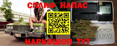 mdpv Гатчина