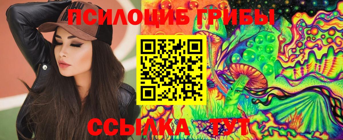 Галлюциногенные грибы Magic Shrooms  купить   Назарово  Вход с VPN 