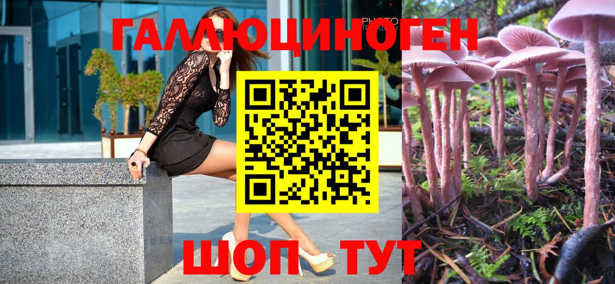 Псилоцибиновые грибы GOLDEN TEACHER Назарово